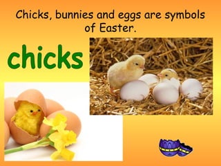Chicks, bunnies and eggs are symbols
             of Easter.
 