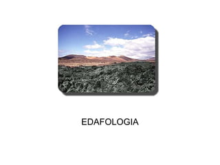 EDAFOLOGIA EDAFOLOGIA 