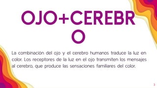 OJO+CEREBR
O
La combinación del ojo y el cerebro humanos traduce la luz en
color. Los receptores de la luz en el ojo transmiten los mensajes
al cerebro, que produce las sensaciones familiares del color.
3
 