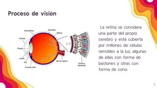 7
Proceso de visión
La retina se considera
una parte del propio
cerebro y está cubierta
por millones de células
sensibles a la luz, algunas
de ellas con forma de
bastones y otras con
forma de cono.
 