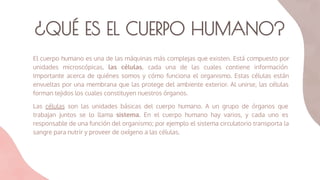 ¿QUÉ ES EL CUERPO HUMANO?
El cuerpo humano es una de las máquinas más complejas que existen. Está compuesto por
unidades microscópicas, las células, cada una de las cuales contiene información
Importante acerca de quiénes somos y cómo funciona el organismo. Estas células están
envueltas por una membrana que las protege del ambiente exterior. Al unirse, las células
forman tejidos los cuales constituyen nuestros órganos.
Las células son las unidades básicas del cuerpo humano. A un grupo de órganos que
trabajan juntos se lo llama sistema. En el cuerpo humano hay varios, y cada uno es
responsable de una función del organismo; por ejemplo el sistema circulatorio transporta la
sangre para nutrir y proveer de oxígeno a las células.
 