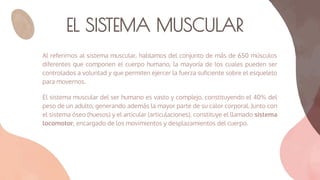 EL SISTEMA MUSCULAR
Al referirnos al sistema muscular, hablamos del conjunto de más de 650 músculos
diferentes que componen el cuerpo humano, la mayoría de los cuales pueden ser
controlados a voluntad y que permiten ejercer la fuerza suﬁciente sobre el esqueleto
para movernos.
El sistema muscular del ser humano es vasto y complejo, constituyendo el 40% del
peso de un adulto, generando además la mayor parte de su calor corporal. Junto con
el sistema óseo (huesos) y el articular (articulaciones), constituye el llamado sistema
locomotor, encargado de los movimientos y desplazamientos del cuerpo.
 