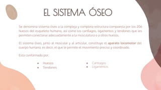 EL SISTEMA ÓSEO
Se denomina sistema óseo a la compleja y completa estructura compuesta por los 206
huesos del esqueleto humano, así como los cartílagos, ligamentos y tendones que les
permiten conectarse adecuadamente a la musculatura o a otros huesos.
El sistema óseo, junto al muscular y al articular, constituye el aparato locomotor del
cuerpo humano, es decir, el que le permite el movimiento preciso y coordinado.
Esta conformado por:
● Huesos
● Tendones
● Cartilagos
● Ligamentos
 