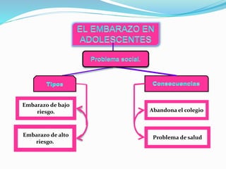 Embarazo de bajo 
riesgo. Abandona el colegio 
Embarazo de alto 
riesgo. 
Problema de salud 
 