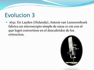 Evolucion 3 1632: En Layden (Holanda), Antoni van Leeuwenhoek  fabrica un microscopio simple de unos 10 cm con el que logró convertirse en el descubridor de los eritrocitos.