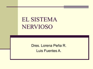 EL SISTEMA
NERVIOSO

  Dres. Lorena Peña R.
     Luis Fuentes A.
 