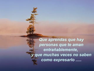 Que aprendas que hay 
personas que te aman 
entrañablemente, 
y que muchas veces no saben 
como expresarlo ..... 
 