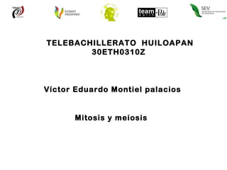 TELEBACHILLERATO  HUILOAPAN 30ETH0310Z  Víctor Eduardo Montiel palacios  Mitosis y meiosis  