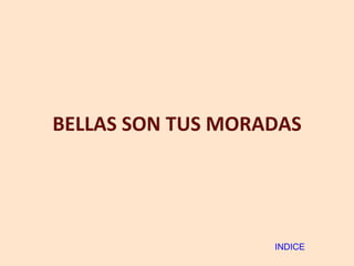 BELLAS SON TUS MORADAS INDICE 