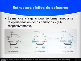• La manosa y la galactosa, se forman mediante
         la epimerización de los carbonos 2 y 4
         respectivamente.




Murray, R. K., Mayes, P. A., Granner, D. K., & Rodwell, V. W. (2005). Bioquímica Ilustrada (Décimo sexta ed.). México: Manual
 