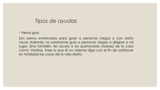 Tipos de ayudas
◦ Perros guía
Son perros entrenados para guiar a personas ciegas o con daño
visual. Además, no solamente guía a personas ciegas a dirigirse a tal
lugar, Sino también, les ayuda a los quehaceres (tareas) de la casa
como: Vestirse, traer lo que él no vidente diga con el fin de satisfacer
en totalidad las cosas de la vida diaria.
 