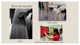 Braille
Identificación de colores por el tacto
Perro guía
 
