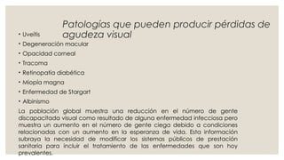 Patologías que pueden producir pérdidas de
agudeza visual
• Uveítis
• Degeneración macular
• Opacidad corneal
• Tracoma
• Retinopatía diabética
• Miopía magna
• Enfermedad de Stargart
• Albinismo
La población global muestra una reducción en el número de gente
discapacitada visual como resultado de alguna enfermedad infecciosa pero
muestra un aumento en el número de gente ciega debido a condiciones
relacionadas con un aumento en la esperanza de vida. Esta información
subraya la necesidad de modificar los sistemas públicos de prestación
sanitaria para incluir el tratamiento de las enfermedades que son hoy
prevalentes.
 