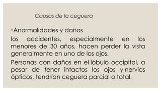 Causas de la ceguera
◦Anormalidades y daños
los accidentes, especialmente en los
menores de 30 años, hacen perder la vista
generalmente en uno de los ojos.
Personas con daños en el lóbulo occipital, a
pesar de tener intactos los ojos y nervios
ópticos, tendrían ceguera parcial o total.
 