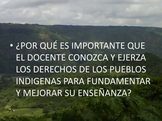 ¿Porque es importante que el docente conozca las experiencias educativas exitosas y fallidas para la valoración revisión y reflexión de su propia práctica docente?
