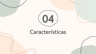 04
Características
 