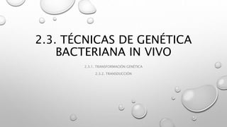 2.3. TÉCNICAS DE GENÉTICA
BACTERIANA IN VIVO
2.3.1. TRANSFORMACIÓN GENÉTICA
2.3.2. TRANSDUCCIÓN
 