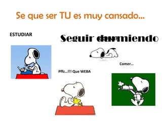 Se que ser TU es muy cansado…ESTUDIARSeguir durmiendoDORMIRComer…Pffz…!!! Que WEBA