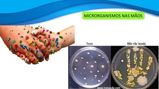 MICRORGANISMOS NAS MÃOS
 