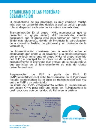 Tienen una propia y única
ruta
El catabolismo de las proteinas es muy compejo mucho
más que los carbohídratos debido a que su unica y propia
ruta se degradan cada uno de los veinte aminoácidos.
Transaminación: En el grupo NH (compuestos que se
presentan al grupo amino) del aminoácido, cambia
posiciones con el grupo ceto para formar un nuevo ceto
ácido más glutamato, donde se involucra la participación
de a coenzima fosfato de piridoxal y un derivado de la
vitamina B
La transaminación comienza con la reacción entre el
aminoácido que unido a un covalente a la aminotransferasa
por un enlace imina ente el grupo NH y el grupo aldehído
del PLP (La principal forma bioactiva de la vitamina B , es
probablemente el coenzima más versátil de la naturaleza ya
que participa en el funcionamiento de más de ciento
cuarenta enzimas)
RUTAS METABÓLICAS
BIOQUÍMICA 2021
CATABOLISMO DE LAS PROTEÍNAS:
DESAMINACIÓN
2
6
6
Regeneración de PLP a partir de PMP: El
PMP(Polimetilpenteno) debe transformarse en PLP(piridoxal
fosfato) completando así el ciclo de transminación esta vez
entre e PMP y un ceto ácido.
La imida del PMP- cetoglucarato realiza la taumerización
del enlace C=N para adar una imina del PLP.glutamato la
cual reacciona con un residuo de lisina en la enzima
2
-
-
 