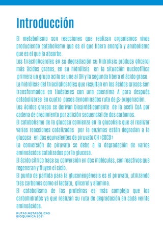 Introducción
El metabolismo son reacciones que realizan organismos vivos
produciendo catabolismo que es el que libera energía y anabolismo
que es el que la absorbe.
Los triacilgliceroles en su degradación su hidrolisis produce glicerol
más ácidos grasos, en su hidrólisis en la situación nucleofílica
primera un grupo acilo se une al OH y la segunda libera el ácido graso.
La hidrólisis del triacilgliceroles que resultan en los ácidos grasos son
transformados en tioésteres con una coenzima A para después
catabolizarse en cuatro pasos denominados ruta de β-oxigenación.
Los ácidos grasos se derivan biosintéticamente de la aceti CoA por
cadena de crecimiento por adición secuencial de dos carbonos.
El catabolismo de la glucosa comienza en la glucolisis que al realizar
varias reacciones catalizadas por la enzimas están degradan a la
glucosa en dos equivalentes de piruvato CH COCO
La conversión de piruvato se debe a la degradación de varios
aminoácidos catalizados por la glucosa.
El ácido cítrico hace su conversión en dos moléculas, con reactivos que
regeneran y fluyen el ciclo.
El punto de partida para la gluconeogénesis es el piruvato, utilizando
tres carbonos como el lactato, glicerol y alamina.
El catabolismo de las proteínas es más compleja que los
carbohidratos ya que realizan su ruta de degradación en cada veinte
aminoácidos.
RUTAS METABÓLICAS
BIOQUÍMICA 2021
3 2
 