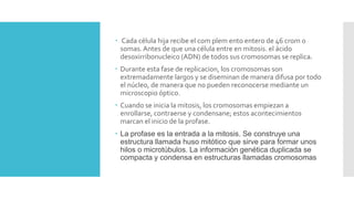  Cada célula hija recibe el com plem ento entero de 46 crom o
somas.Antes de que una célula entre en mitosis. el ácido
desoxirribonucleico (ADN) de todos sus cromosomas se replica.
 Durante esta fase de replicacion, los cromosomas son
extremadamente largos y se diseminan de manera difusa por todo
el núcleo, de manera que no pueden reconocerse mediante un
microscopio óptico.
 Cuando se inicia la mitosis, los cromosomas empiezan a
enrollarse, contraerse y condensane; estos acontecimientos
marcan el inicio de la profase.
 La profase es la entrada a la mitosis. Se construye una
estructura llamada huso mitótico que sirve para formar unos
hilos o microtúbulos. La información genética duplicada se
compacta y condensa en estructuras llamadas cromosomas
 