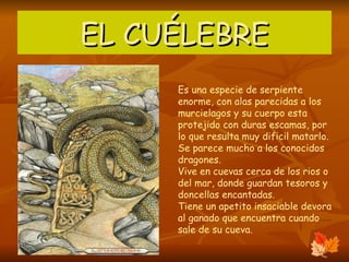 EL CUÉLEBRE Es una especie de serpiente enorme, con alas parecidas a los murcielagos y su cuerpo esta protejido con duras escamas, por lo que resulta muy dificil matarlo. Se parece mucho a los conocidos dragones. Vive en cuevas cerca de los rios o del mar, donde guardan tesoros y doncellas encantadas. Tiene un apetito insaciable devora al ganado que encuentra cuando sale de su cueva. 