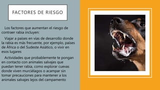 FACTORES DE RIESGO
• Los factores que aumentan el riesgo de
contraer rabia incluyen:
• Viajar a países en vías de desarrollo donde
la rabia es más frecuente, por ejemplo, países
de África o del Sudeste Asiático, o vivir en
esos lugares
• Actividades que probablemente te pongan
en contacto con animales salvajes que
puedan tener rabia, como explorar cuevas
donde viven murciélagos o acampar sin
tomar precauciones para mantener a los
animales salvajes lejos del campamento
 