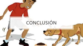 CONCLUSIÓN
 