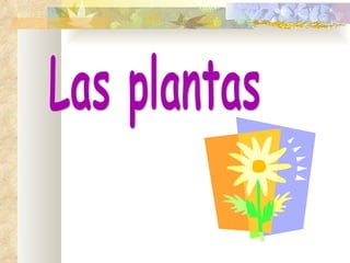 Las plantas 