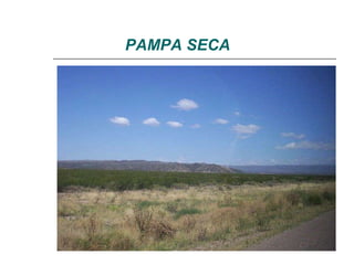 PAMPA SECA 