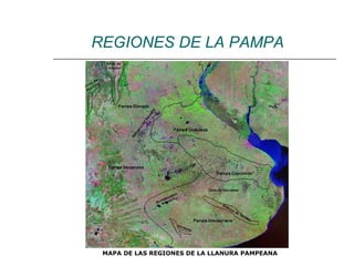 REGIONES DE LA PAMPA MAPA DE LAS REGIONES DE LA LLANURA PAMPEANA 