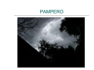 PAMPERO 