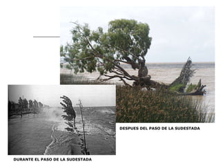 DURANTE EL PASO DE LA SUDESTADA DESPUES DEL PASO DE LA SUDESTADA 