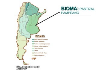 BIOMA:  PASTIZAL PAMPEANO MAPA DE LOS BIOMAS DE ARGENTINA 