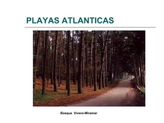 PLAYAS ATLANTICAS Bosque  Vivero-Miramar   