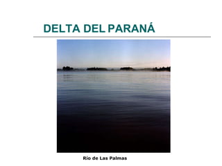 DELTA DEL   PARANÁ Río de Las Palmas   
