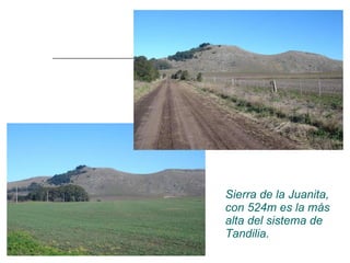 Sierra de la Juanita, con 524m es la más alta del sistema de Tandilia. 