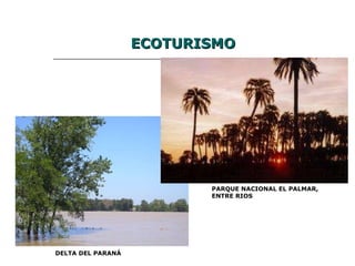 ECOTURISMO DELTA DEL PARANÁ PARQUE NACIONAL EL PALMAR, ENTRE RIOS 