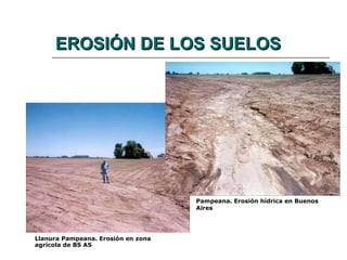 EROSIÓN DE LOS SUELOS Llanura Pampeana. Erosión en zona agrícola de BS AS Pampeana. Erosión hídrica en Buenos Aires  