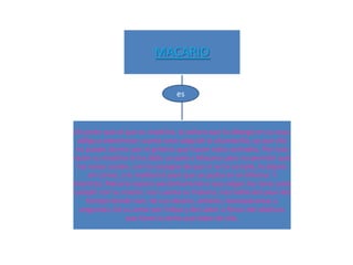 MACARIO

                                 es



Un joven que al que su madrina, la señora que lo alberga en su casa,
 obliga a exterminar cuanta rana salga de la alcantarilla, ya que ella
 no puede dormir por el griterío que hacen estos animales. Por esta
razón su madrina le ha dado un palo a Macario para no permitir que
 las ranas canten, con la consigna de que si no lo cumple, lo dejará
    sin comer, y lo maldecirá para que se pudra en el infierno. Y
mientras, Macario espera pacientemente a que salgan las ranas para
cumplir con su misión, nos cuenta su historia, nos habla del paso del
    tiempo donde vive, de sus deseos, anhelos, desesperanzas y
  angustias. De su amor por Felipa y del sabor a flores del obelisco
                 que tiene la leche que bebe de ella.
 