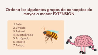 Ente
Vivente
Animal
Invertebrado
Artrópodo
Insecto
Avispa
1.
2.
3.
4.
5.
6.
7.
Ordena los siguientes grupos de conceptos de
mayor a menor EXTENSIÓN
 