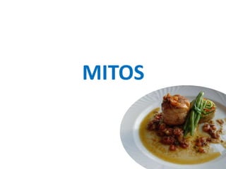 MITOS
 