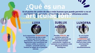 Sublux Ex Comprehensive Overview of Joint Dislocations: Types, Causes, and ...
