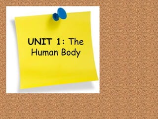UNIT 1: The
Human Body
 