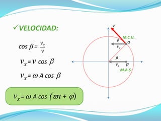 VELOCIDAD:
p
q
vx

vx

v
M.C.U.
M.A.S.
cos  =
vx
v
vx = v cos 
vx =  A cos 
vx =  A cos ( + )
 