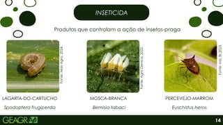 INSETICIDA
Produtos que controlam a ação de insetos-praga
Fonte:
Mais
Agro,
2024.
Fonte:
Agro
Genica,
2022.
Fonte:
Irac
Br,2023.
LAGARTA-DO-CARTUCHO
Spodoptera frugiperda
MOSCA-BRANCA
Bemisia tabaci
PERCEVEJO-MARROM
Euschistus heros
14
 