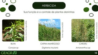 HERBICIDA
Sua função é o controle de plantas daninhas
Fonte:
Ouro
Fino
Agro,2026.
Fonte:
Agro
Link,2022.
Fonte:
Globo
Rural,2023.
BUVA
Conyza sp
CAPIM-AMARGOSO
Digitaria insularis
CARURU
Amaranthus sp
15
 