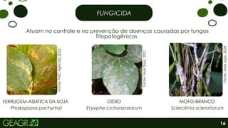 FUNGICIDA
Atuam no controle e na prevenção de doenças causadas por fungos
fitopatogênicos
Fonte:
FMC
Agricola,2022.
Fonte:
Mais
Soja,
2021.
Fonte:
Mais
Soja,
2024.
FERRUGEM-ASIÁTICA DA SOJA
Phakopsora pachyrhizi
OÍDIO
Erysiphe cichoracearum
MOFO-BRANCO
Sclerotinia sclerotiorum
16
 