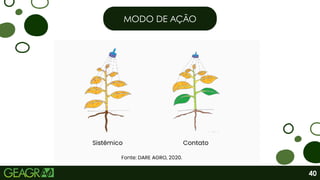 MODO DE AÇÃO
40
 